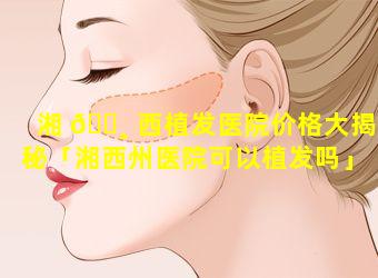 湘 🕸 西植发医院价格大揭秘「湘西州医院可以植发吗」